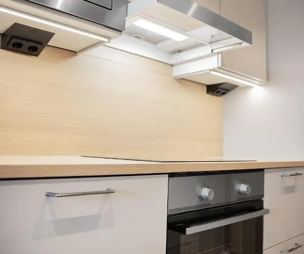 Levin Kunkku B4 4* Levi